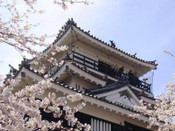 芥末留學