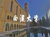 芥末留學