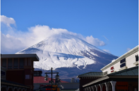 日本留学
