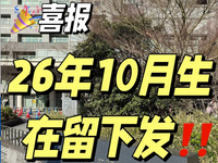 在留资格下发
