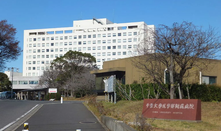 千叶大学