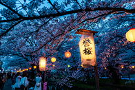 日本留学
