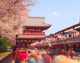 日本留学
