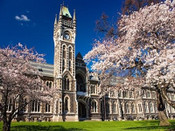 新西蘭大學