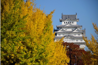 日本留学 MEXT 奖学金申请