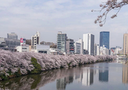 日本大学本科升学时间线整理