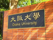芥末留學
