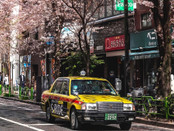 芥末留學