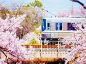 芥末留學(xué)