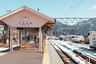 日本留学