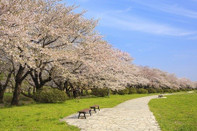 日本留學