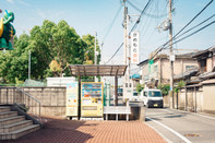 芥末留學(xué)