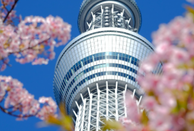 日本留學(xué)