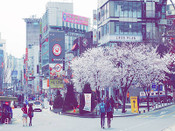 韓國留學(xué)