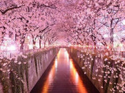 芥末留學