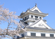 日本留學(xué)