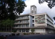 長崎大學