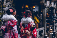 日本留学