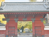 日本大學(xué)