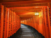 日本留學(xué)