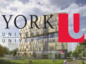 約克大學