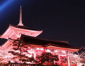芥末留学