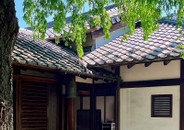 芥末留學(xué)
