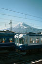 日本留学