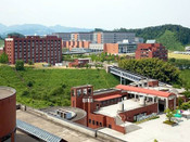 金泽大学