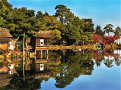 日本留學(xué)