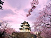 去日本留學(xué)費(fèi)用