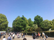 日本留學