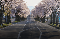 日本 SGU 英语
