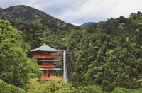 日本留学