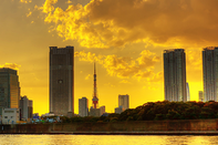 日本留学