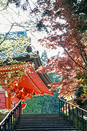 日本留学