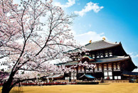 日本留學(xué)