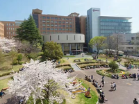 日本就职