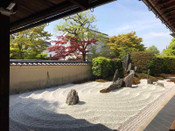 芥末留學(xué)