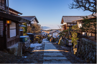 芥末留学
