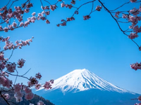 日本留学