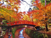 留學日本