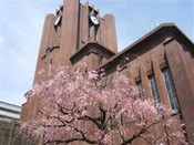 芥末留學