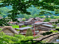 紧急更新｜2026 日本留学签证审核收紧 别再准备旧材料| 日本留学