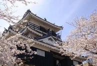 日本留學