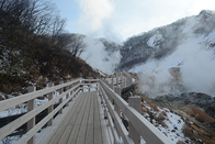 日本留学