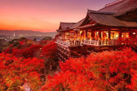 日本留學(xué)