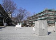 芥末留學(xué)