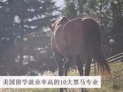 芥末留學(xué)