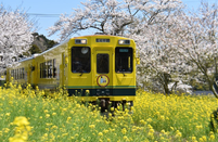 日本留学签证续签